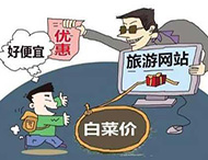 農(nóng)村旅游網(wǎng)站建設(shè)及用戶體驗度的提高？